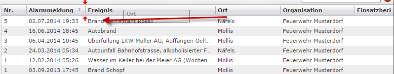 einsatz-spalten-anordnung